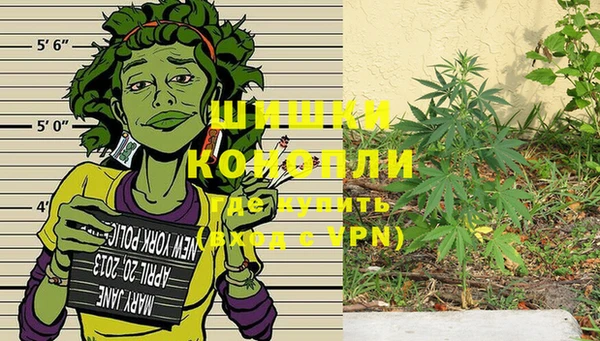 амф Балахна