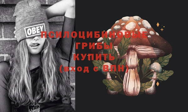 амф Балахна