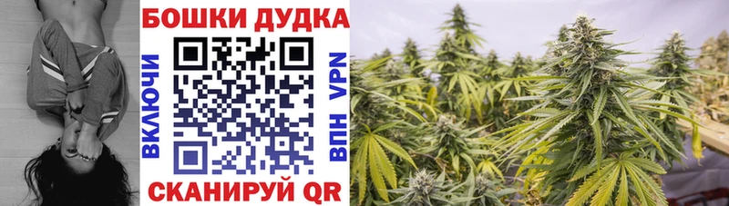 Бошки марихуана OG Kush  Соль-Илецк 